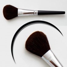 Complexion Brush